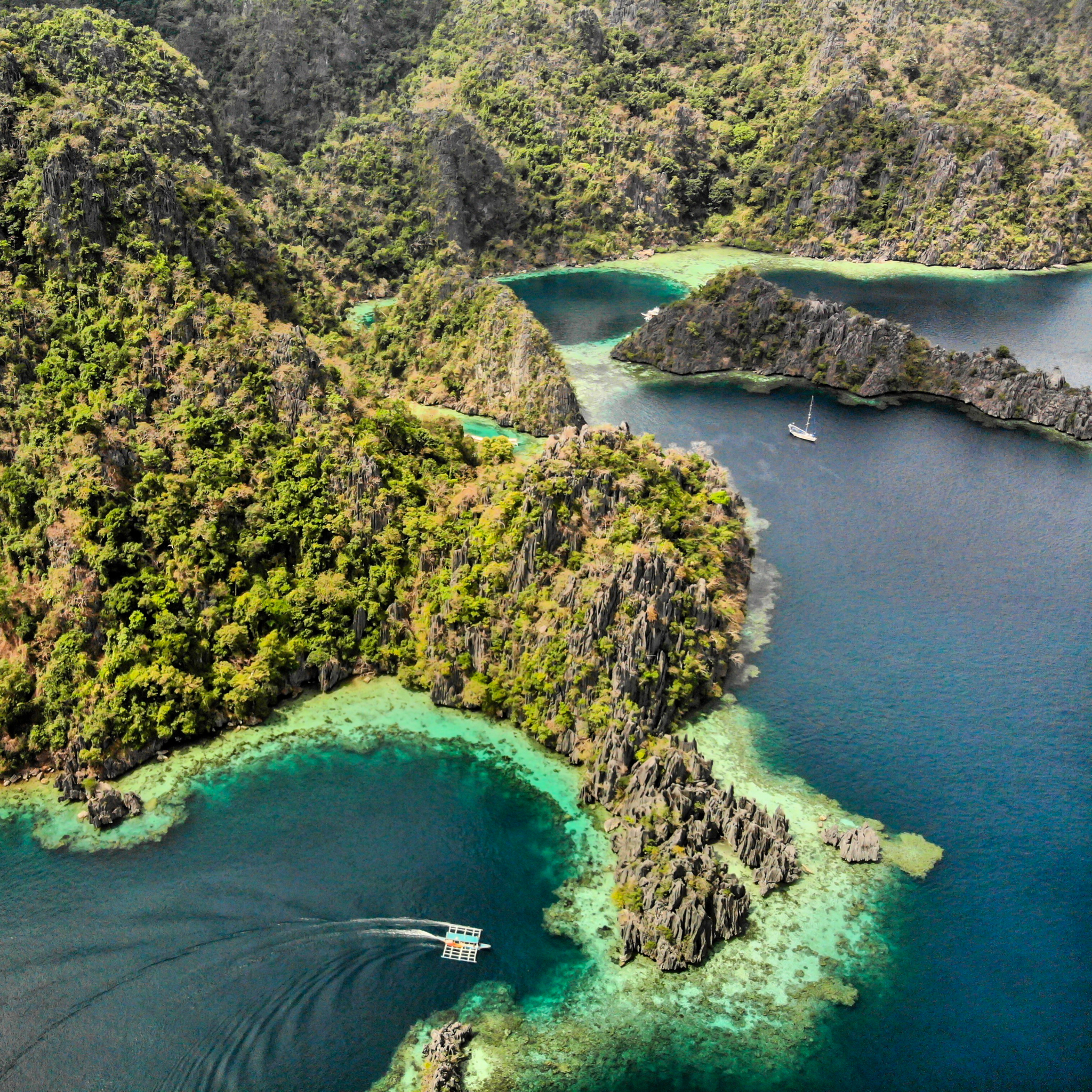 calamian tourist boat association