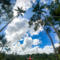THE COMPLETE 2022 Guide To Bali’s Best Instagram Swings